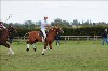 UKPA  NC Sat_1171